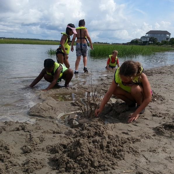 Ecosystem Engineers (Ages 9 - 10)