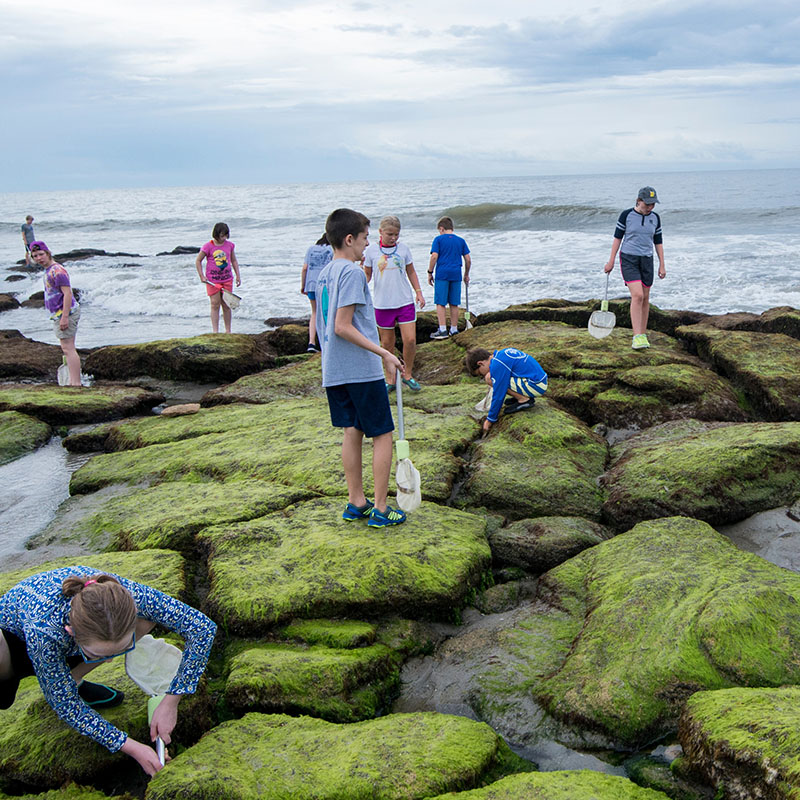 Coast TREK (Ages 9 - 12)