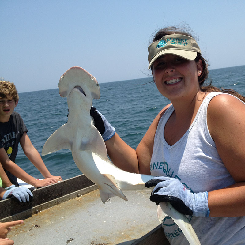 Shark TREK (Ages 11 - 12)